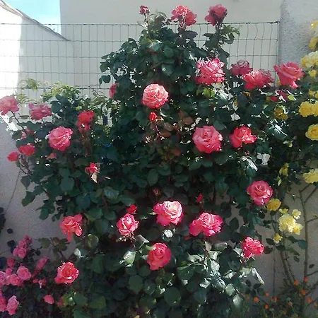 Le Castel Enchante
